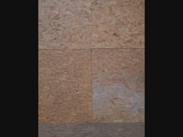 Premium HD - Square Carp Design - T-Shirt